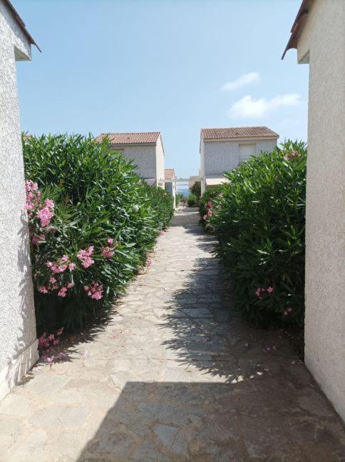 A Nuciola Prunete Cervione Exterior foto