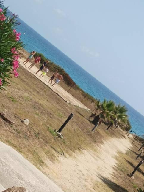 A Nuciola Prunete Cervione Exterior foto