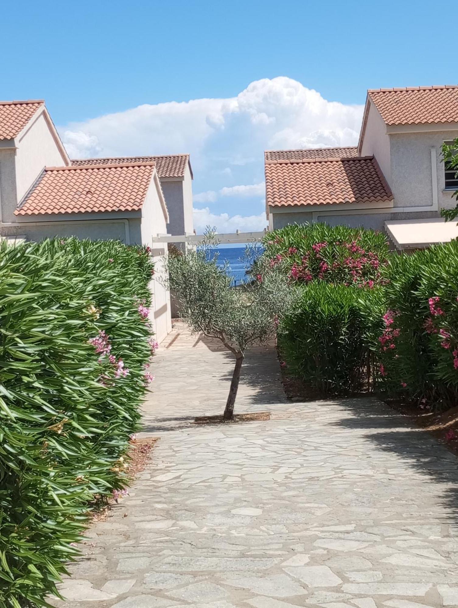 A Nuciola Prunete Cervione Exterior foto